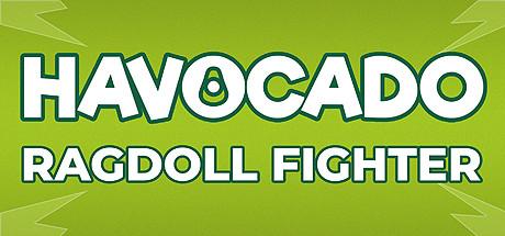 Havocado: Ragdoll Fighter