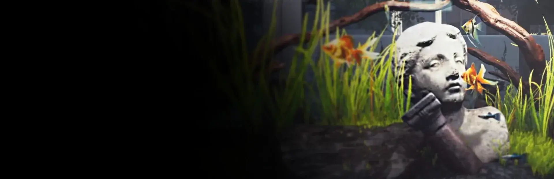 Aquarist thumbnail 2