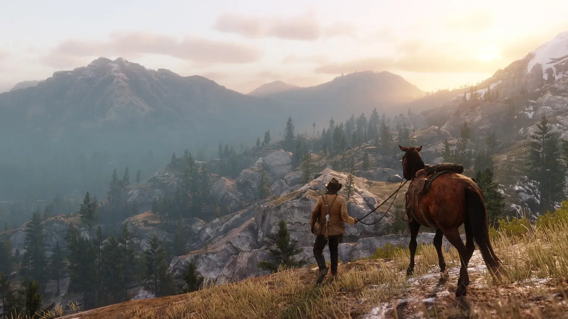 Red Dead Redemption 2 thumbnail 31