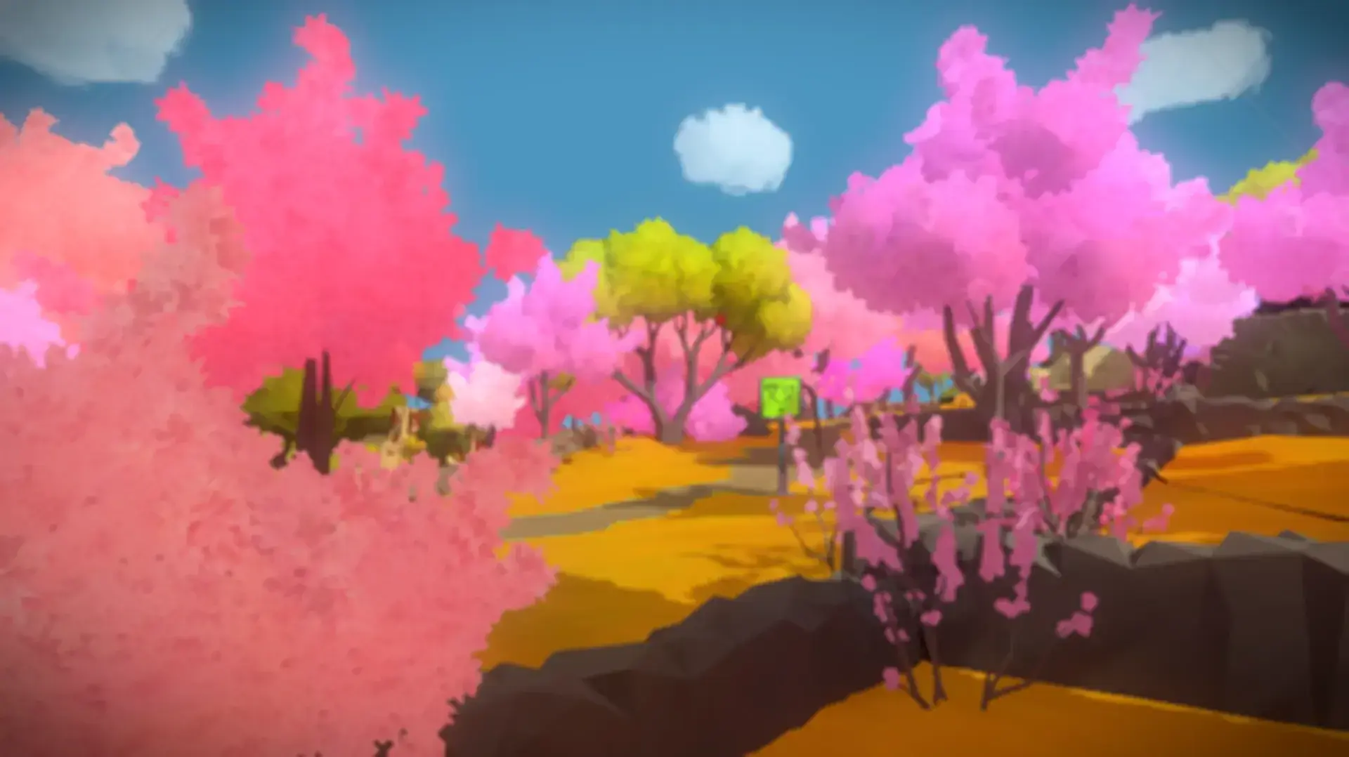 The Witness thumbnail 13