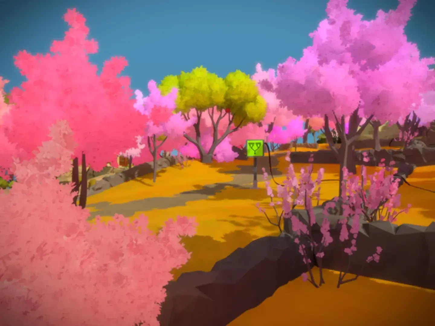 The Witness thumbnail 7