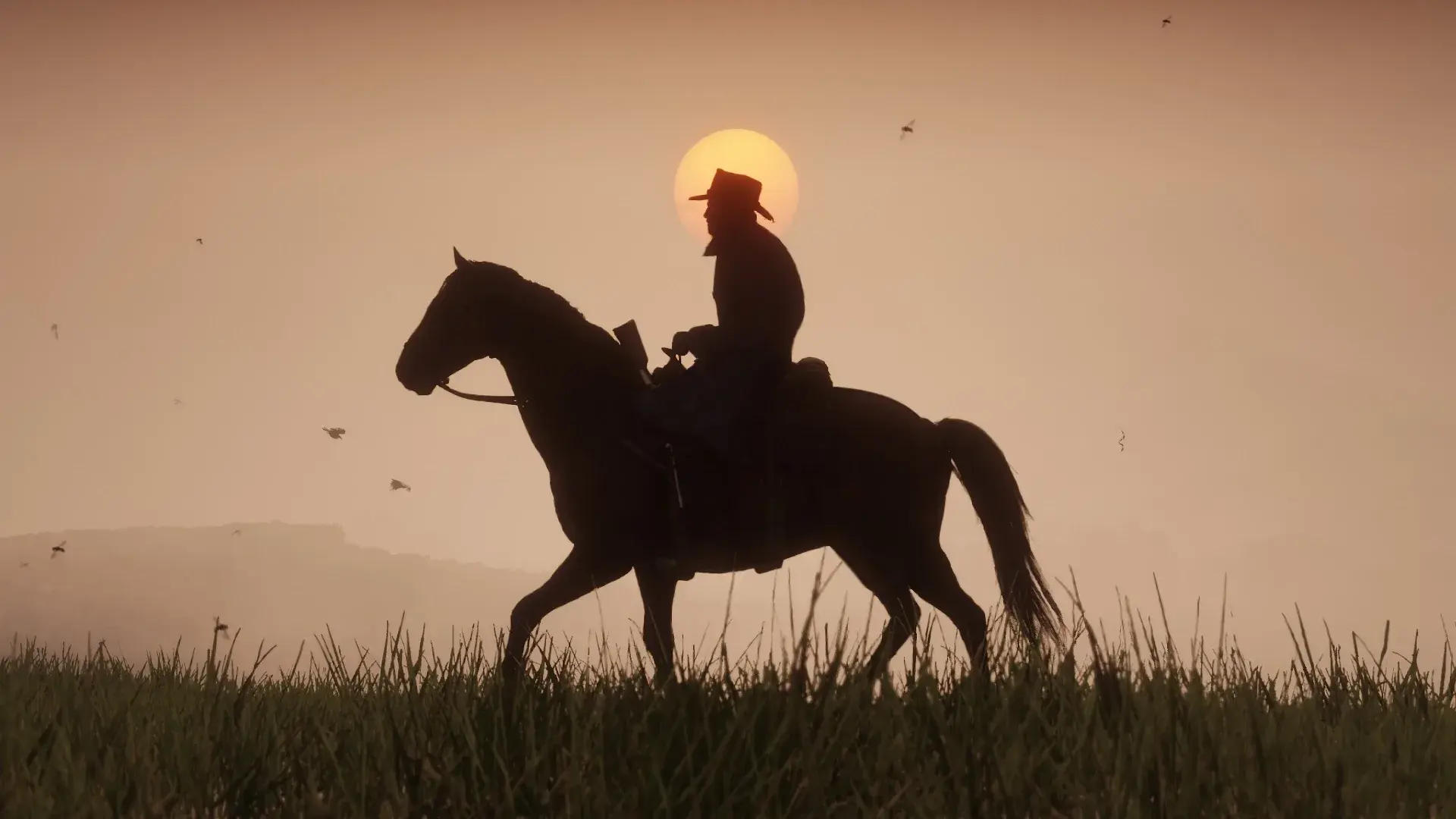 Red Dead Redemption 2 thumbnail 29