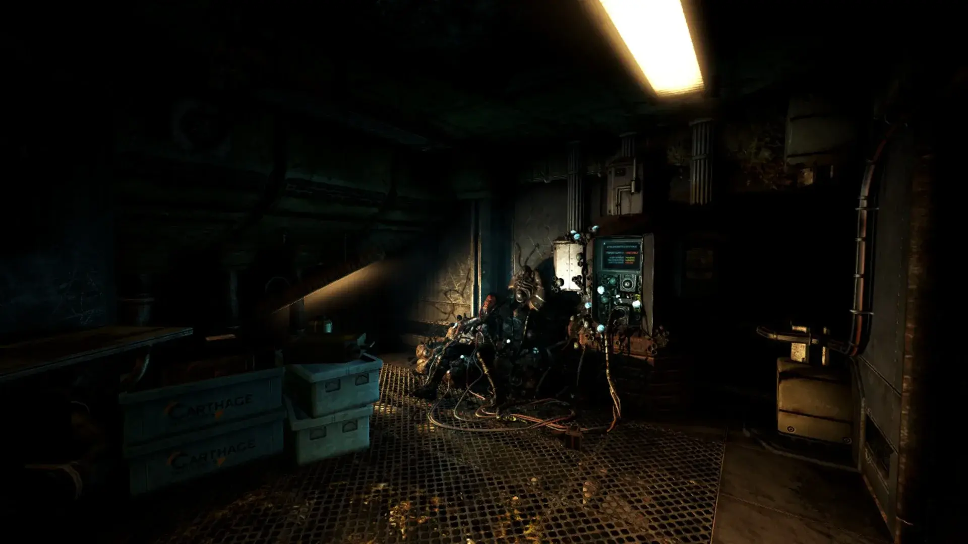 SOMA thumbnail 10