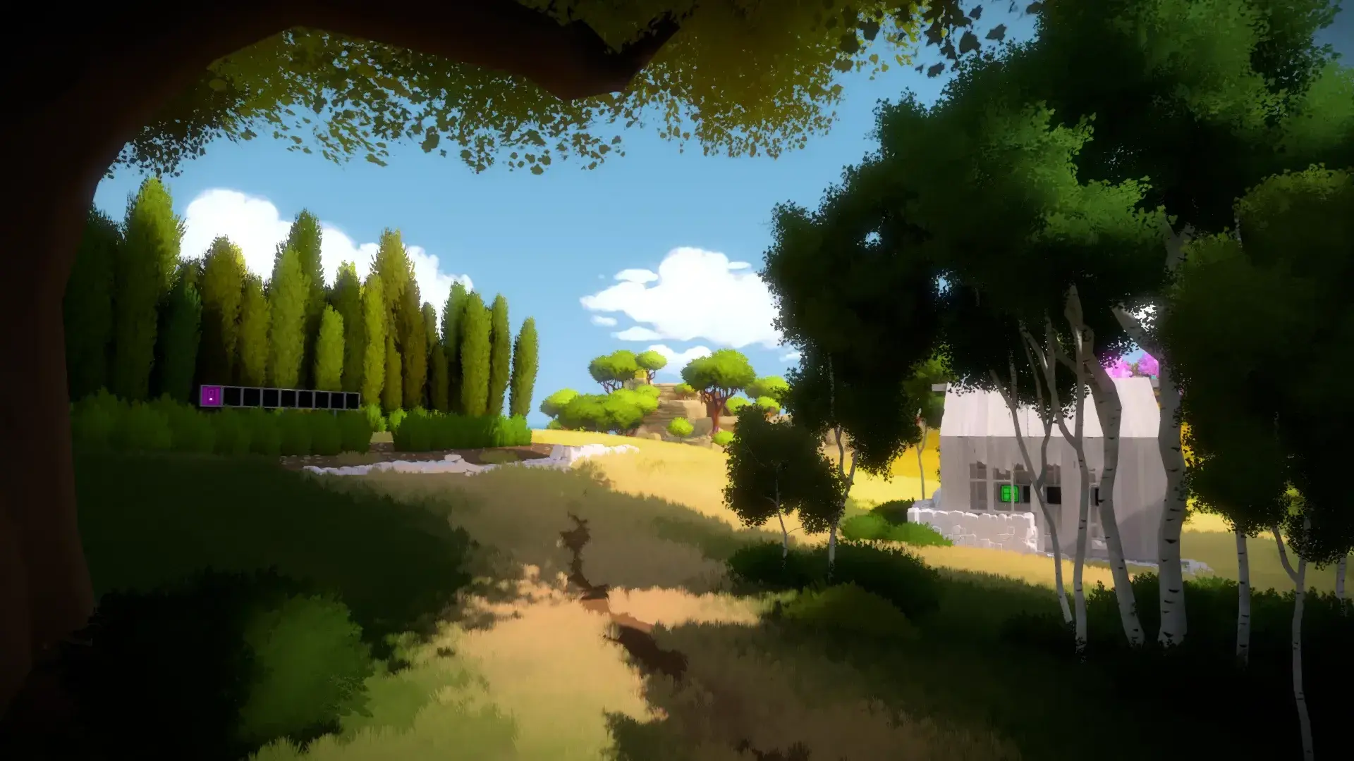 The Witness thumbnail 10