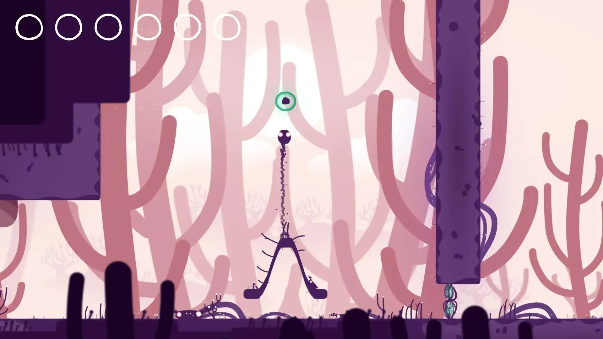 Semblance thumbnail 5