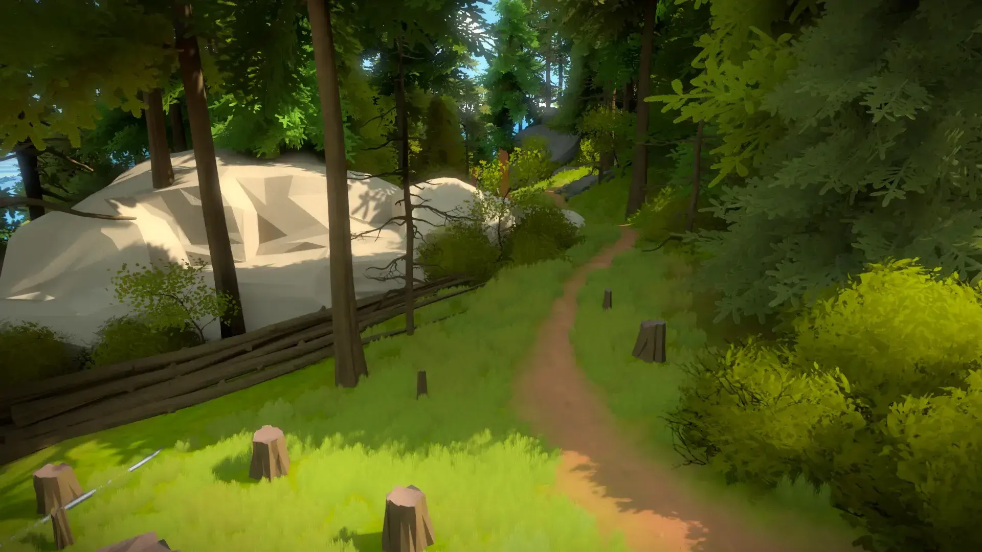 The Witness thumbnail 12