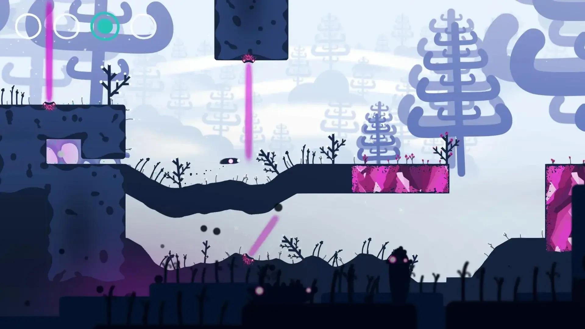 Semblance thumbnail 13