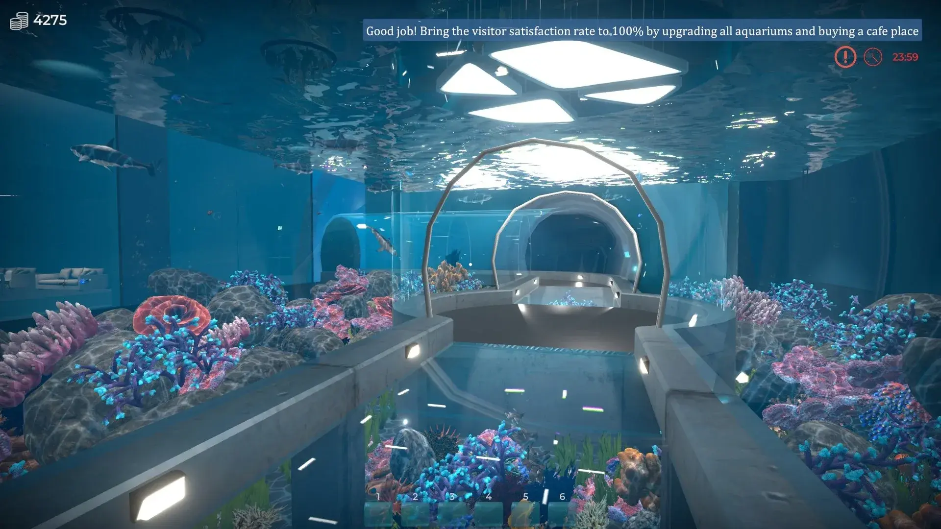 Aquarist thumbnail 4