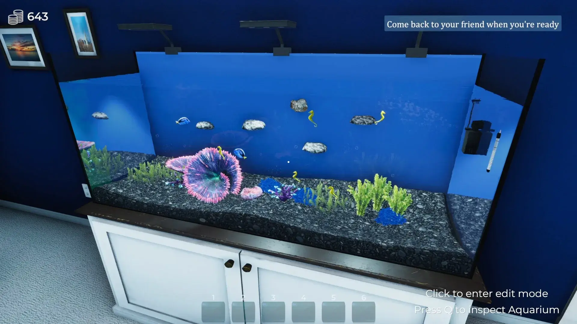Aquarist thumbnail 16