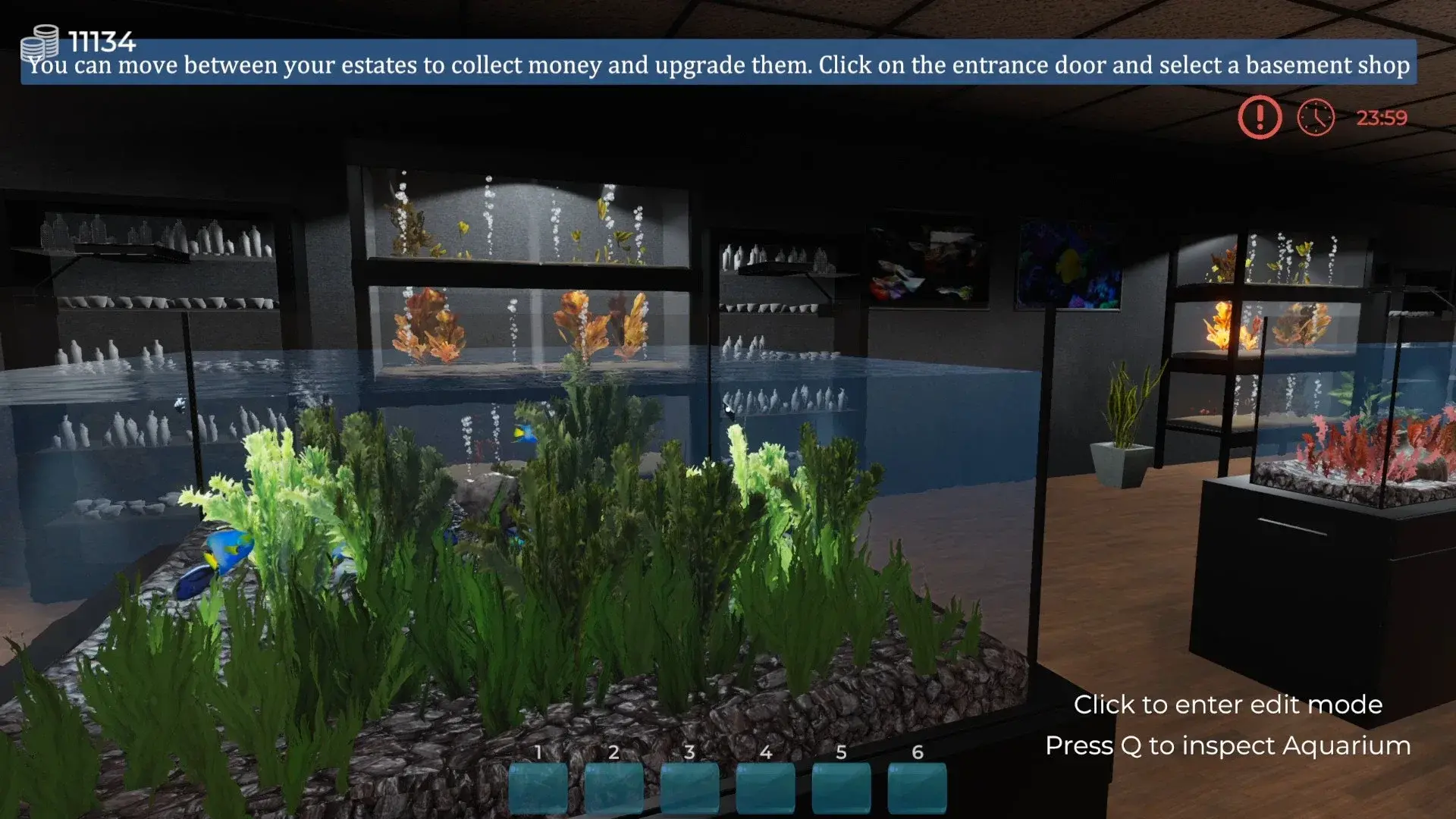 Aquarist thumbnail 3