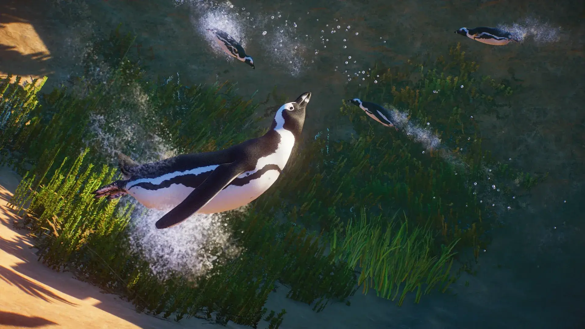Planet Zoo thumbnail 9