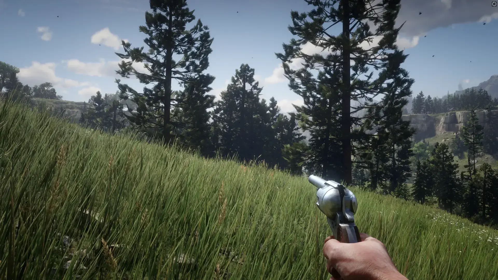 Red Dead Redemption 2 thumbnail 33