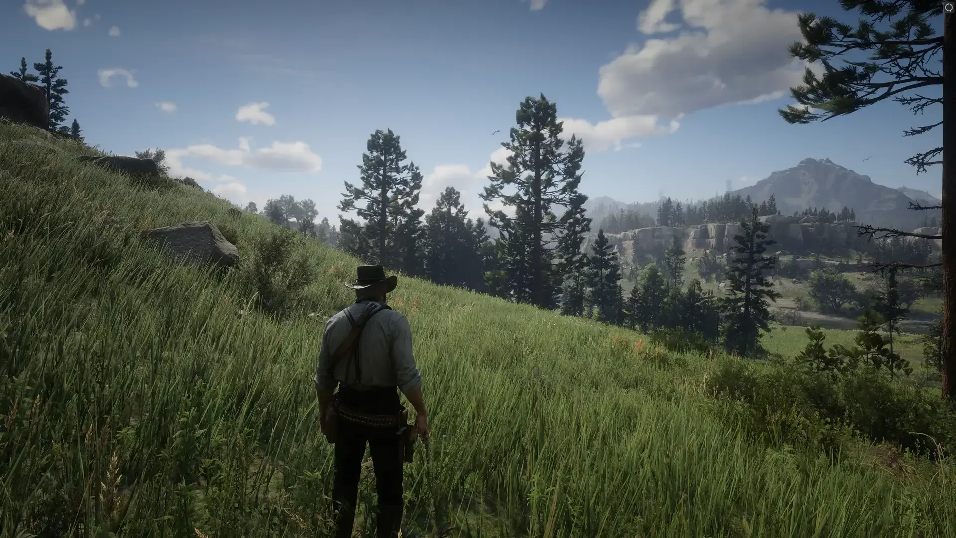 Red Dead Redemption 2 thumbnail 26