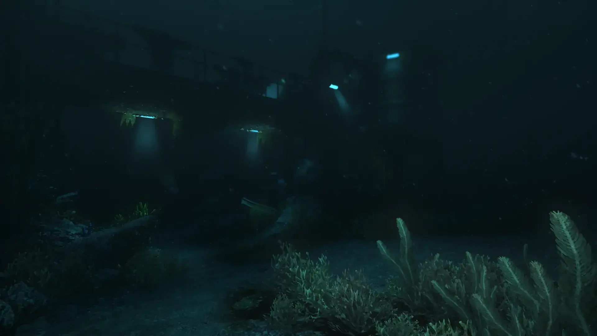 SOMA thumbnail 8