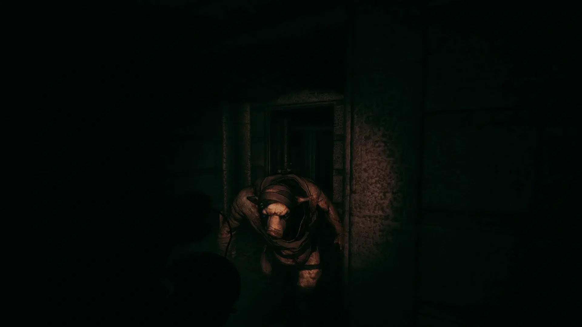 Amnesia: A Machine For Pigs thumbnail 17
