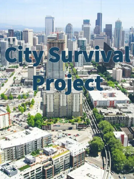 / City Survival Project