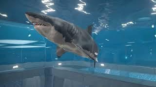 Aquarist trailer thumbnail 1